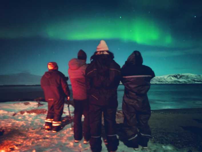 Tromsø: Northern Lights Guided Tour with Bonfire and Snacks