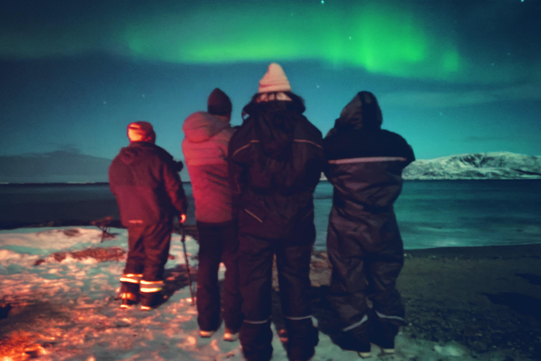 Tromsø: Northern Lights Tour with bonfire, sausages & snacks Tromsø: Northern Lights Guided Tour with Bonfire and Snacks