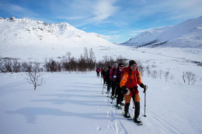 Tromsø: Guided snowshoe hill hike