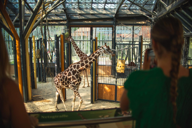 Digital Vienna FLEXI Pass: Choose from 70+ Top Sights Vienna: FLEXI Pass – 2 Attractions