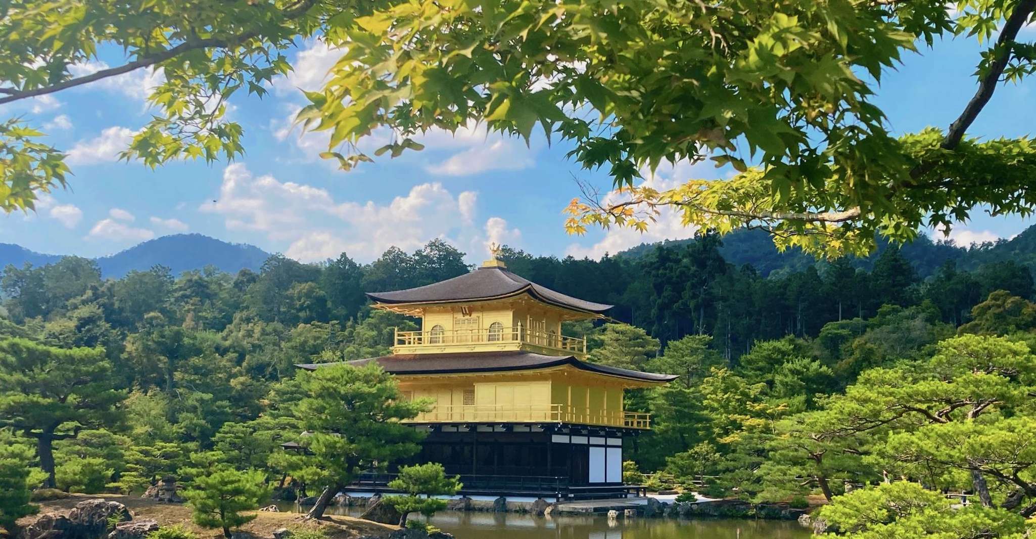 From Osaka/Kyoto: Kinkakuji, Arashiyama, FushimiInari, Nara photo 9