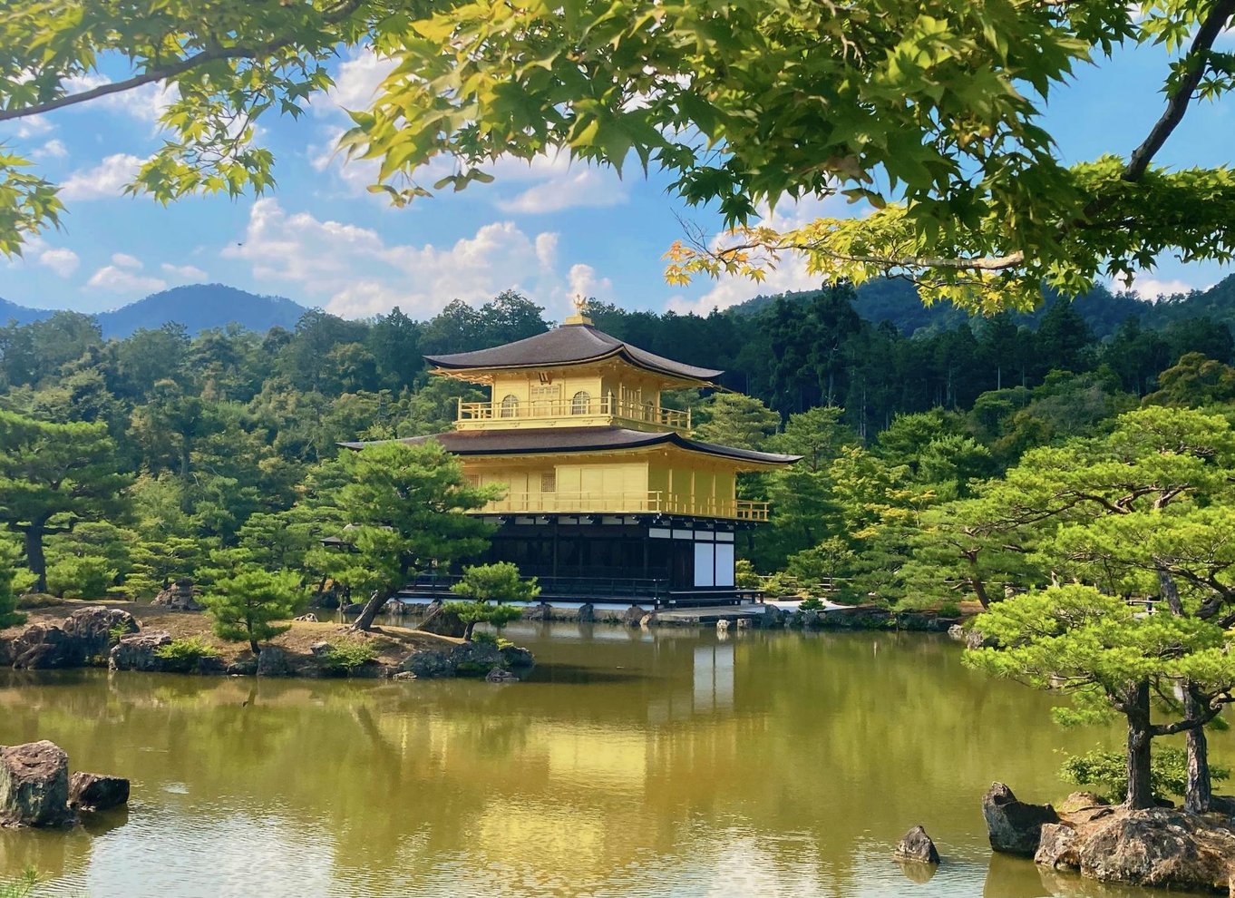 Fra Osaka/Kyoto: Kyoto og Nara 1-dags guidet tur