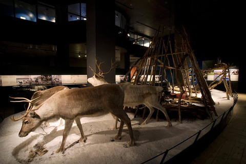 Rovaniemi : billet d&#039;entrée au centre scientifique et au musée Arktikum