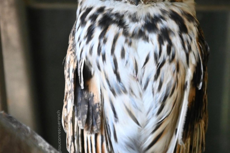San Jose: Night Guided Wildlife Walk at Wildlife Sanctuary