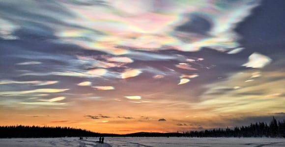 Kiruna: Arctic Evening Dogsled Ride with Swedish Fika