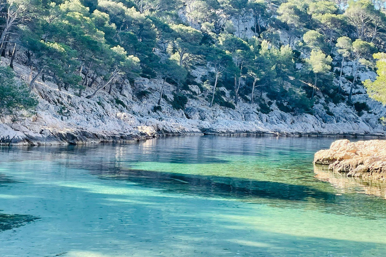 Cassis : Excursion d&#039;une demi-journée avec guide dans le parc national des CalanquesRandonnée