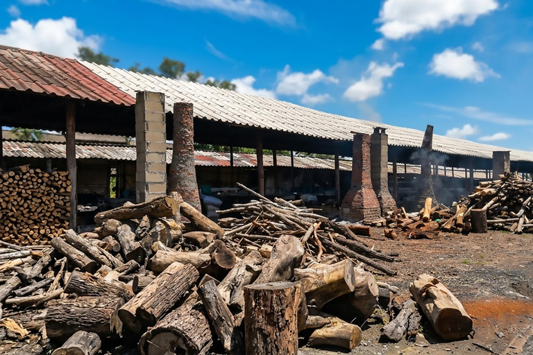 White Gold Journey: Ban Khok Saat Ancient Salt Making Tour