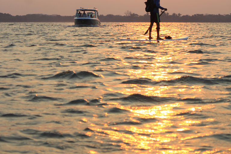 Stand-up Paddle & Kayak Tours in Veracruz