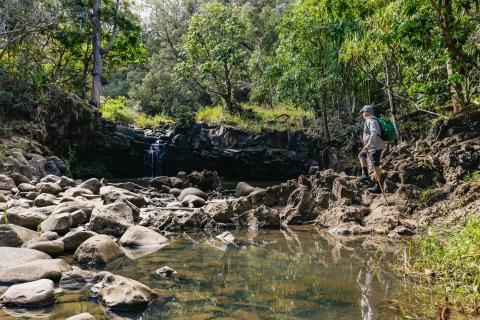 Maui : chutes d'eau, forêt tropicale, déjeuner pique-nique