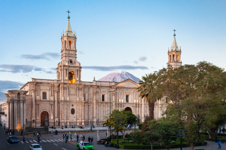 From Arequipa: Colca Canyon and Andean Wildlife Day Trip