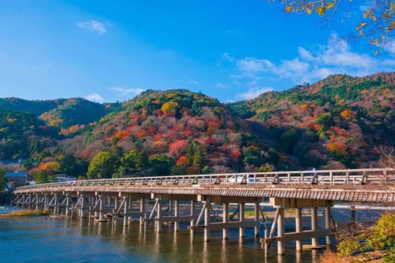 Desde Tokio: Kioto y Nara Personalizar tour privado por Alphard