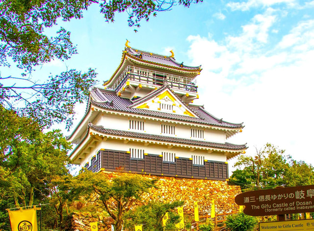 Gifu: Castle, Great Buddha, and Old Town 3.5-Hr Private Tour