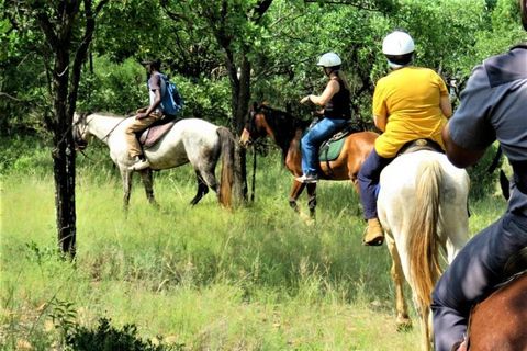 Magaliesberg Horseback Wildlife Safari From Johannesburg