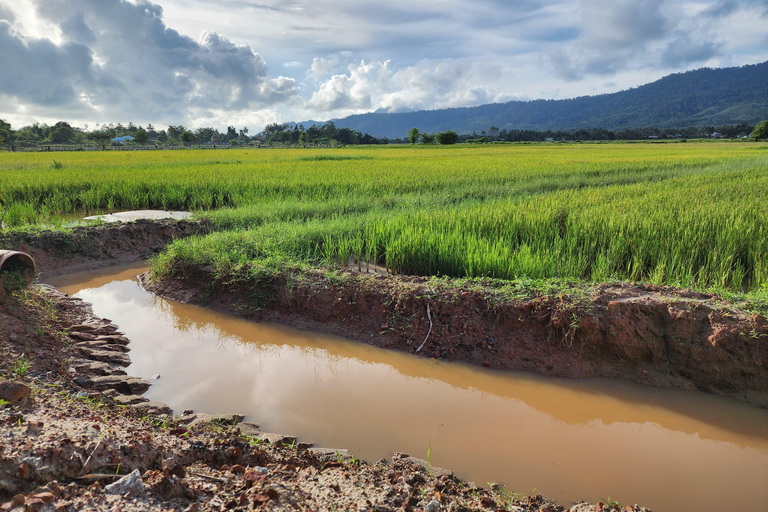 Langkawi : Countryside Cycling Tour