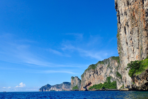 From Phi Phi: Half-Day Trip for Certified Divers (2 Dives) Afternoon Diving for Certified Divers (2 Dives)