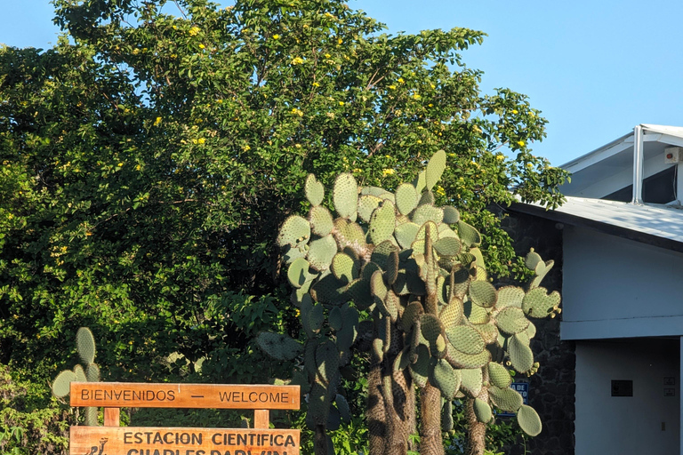 Explore the Galapagos! Giant Turtles, Twin Craters, Tunnels, and Darwin Day in the Galapagos