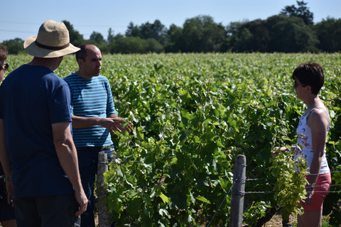 Matin - Excursion dans la vallée de la Loire à Vouvray et Montlouis