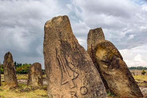 From Addis Ababa: Melka Kunture, Adadi Mariam & Tiya Tour