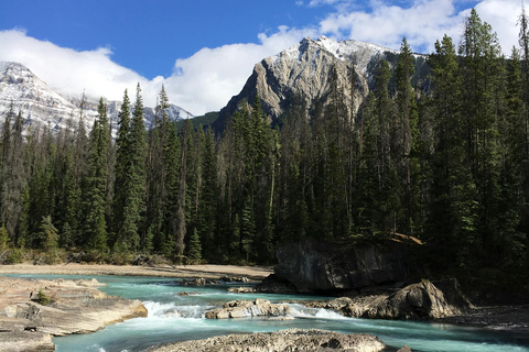 Calgary: Emerald Lake & Takakkaw Falls Small Group Tour
