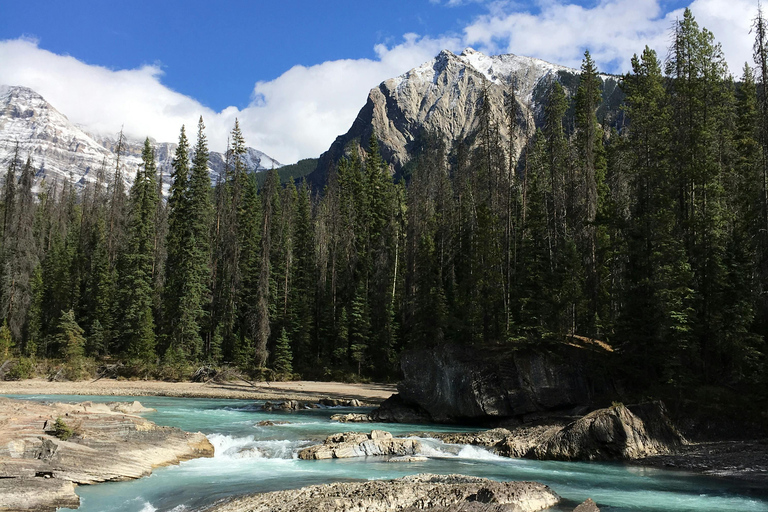 Calgary: Emerald Lake & Takakkaw Falls Small Group Tour