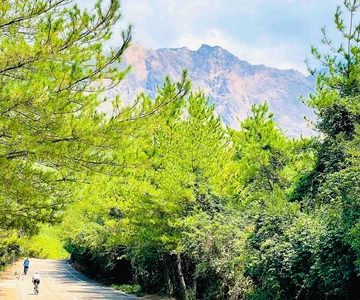 Tour storico in e-bike in salita sul picco di Sakurajima