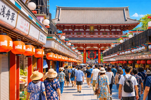 Tokyo Cherry Blossom Day Tour: Asakusa,Chidorigafuchi & Ueno 【Standard】English Guided Sightseeing Tour