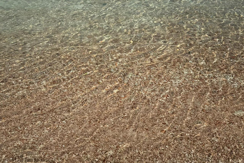 diymaniyat Snorkelling (swim whalesharks or turtles)