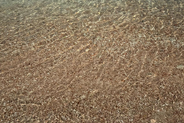 diymaniyat Snorkelling (swim whalesharks or turtles)