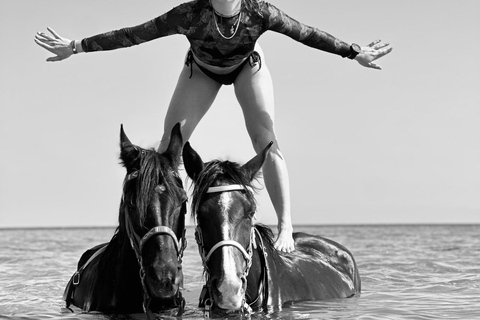 الغردقة: جولة ركوب الخيل في الصحراء والبحر مع خيار السباحةجولة لمدة ساعتين لركوب الخيل بدون السباح