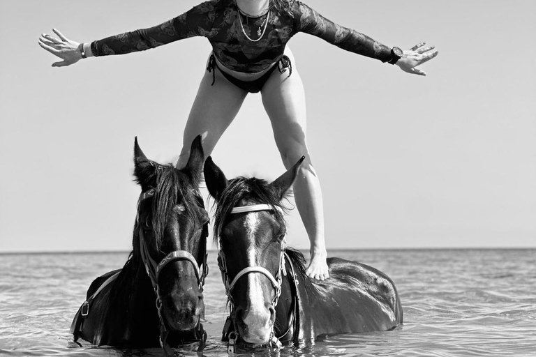 الغردقة: جولة ركوب الخيل في الصحراء والبحر مع خيار السباحةجولة لمدة ساعتين لركوب الخيل بدون السباح