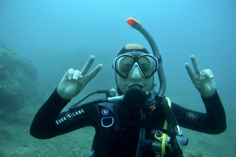 Argelès-sur-Mer : first dive in the Marine Natural Park