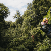 Rotorua: 6 Ziplines, Ancient Forest, Swing Bridges & Nature