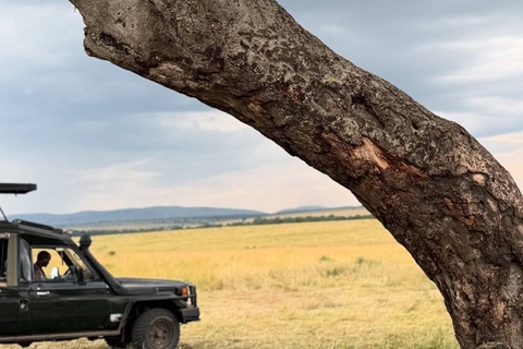 Diani/Mombasa: Private Tsavo East Day Safari in 4x4 Cruiser.
