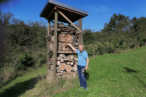 Coblenza: El viñedo vivo, naturaleza y disfrute del vino