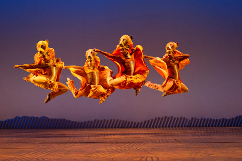 Hamburg: The Lion King Musical Ticket with Boat Transfer