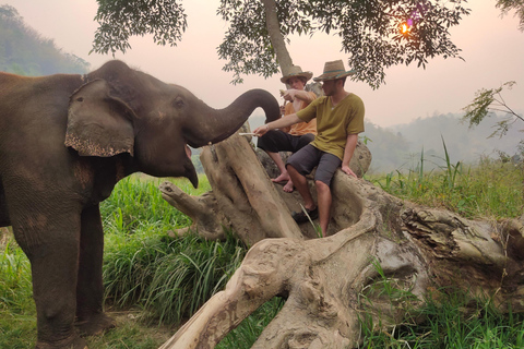 4 Experiences: Elephants, Sticky waterfalls, Market &amp; templeElephants: Sticky waterfalls: Local Market: Wat Banden