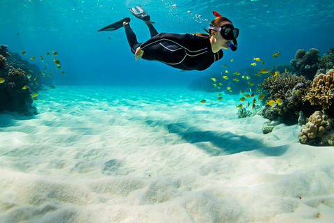 Mnemba Island: Guided Snorkeling & Dolphin Swim Experience Private Mnemba Island Snorkeling and dolphin swim