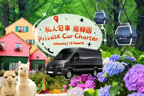 Seoul: Half/Full-Day Private Car Charter Service