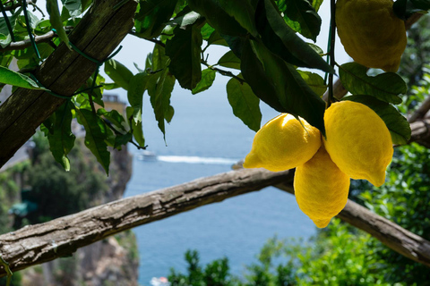 Amalfi Coast: Fiat 500 Jolly Tour with Lemon Grove Visit Sunset - No Lemon Grove