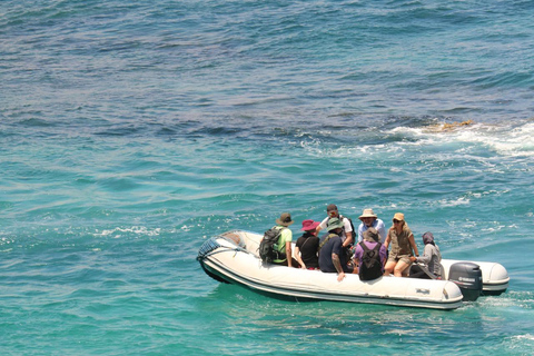 Bartolomé Island: Premium Yacht Experience with Hike and Snorkel