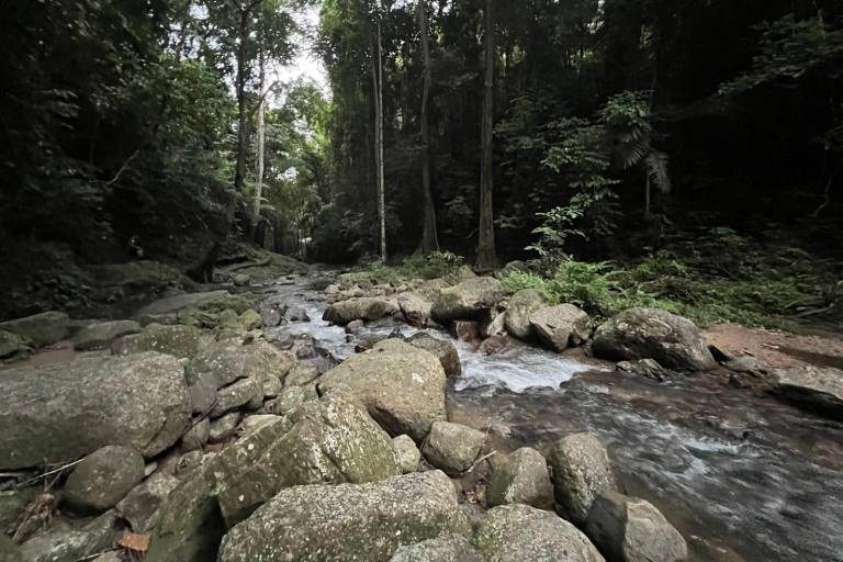 Krabi: Tagesausflug zum Elefantenbaden und zum Huay Tho Wasserfall
