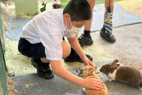 Penang: Balik Pulau Batik Painting &amp; Mini Zoo Petting