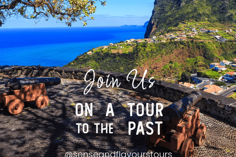 VW VAN Tours | NORDESTE