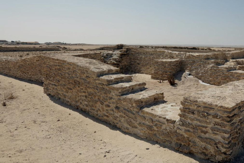 Doha: Northern Qatar Guided Tour with Al Zubarah Fort