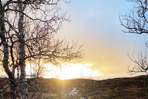 Tromsø: Guided Hiking Tour with Roundtrip Transfers