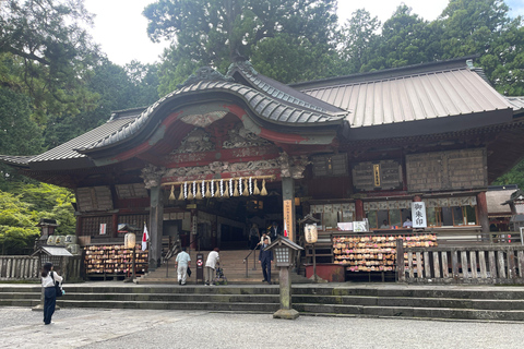 2 dias de tour particular pela cidade de Tóquio e pelo Monte Fuji ou Hakone