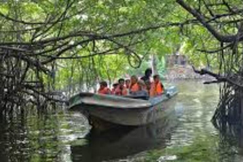 From Kandy: Galle & Unawatuna Day Trip