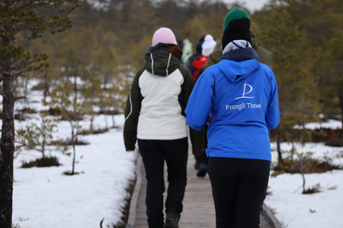 From Tallinn: Jägala Waterfall and Bog Walk Tour