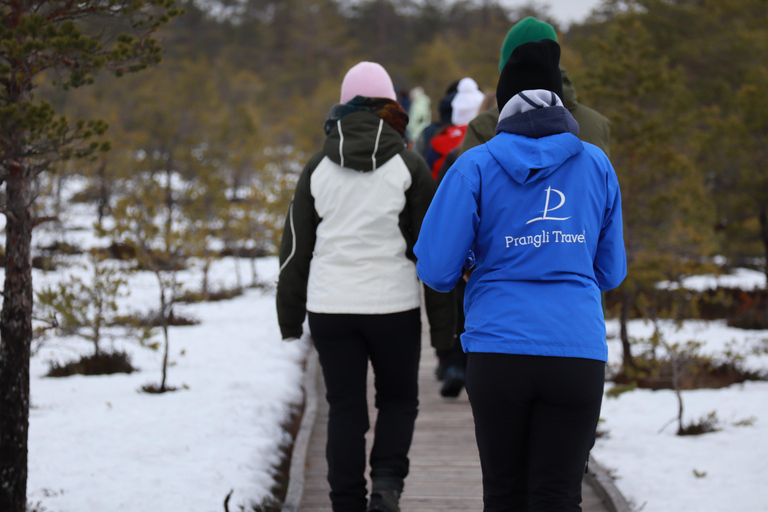From Tallinn: Jägala Waterfall and Bog Walk Tour