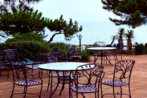 Jeju Trendy Café Tour and When Life Gives You Tangerines